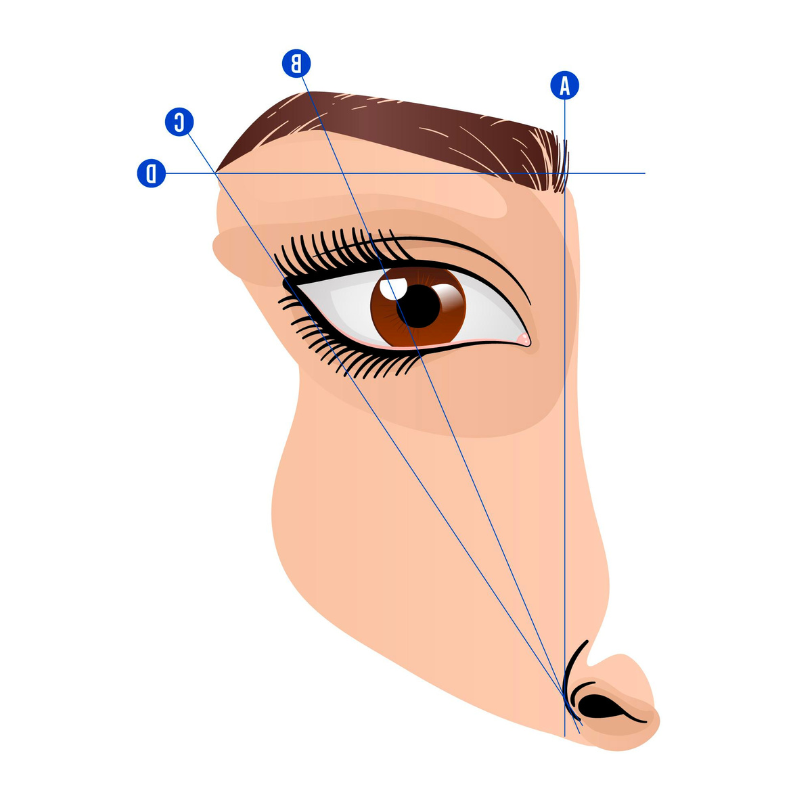 Eyebrows micropigmentation treatment in Udaipur, Micro pigmentation eyebrows treatment in Udaipur