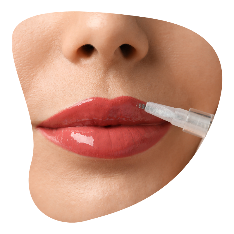 Lip micropigmentation treatment in Udaipur Lip, micropigmentation PMU treatment in Udaipur, Permanent makeup lips treatment in Udaipur